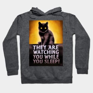 They Are Watching you Hoodie